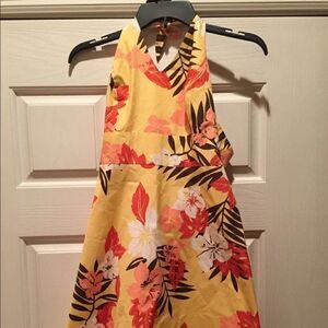 Ann Taylor Factory Floral Dress  Size 6 Petite
